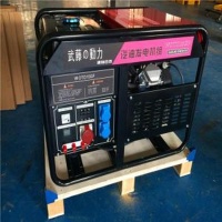 小功率汽油發(fā)電機(jī)組3